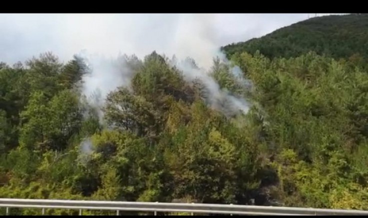 Sinop'ta orman Yangını