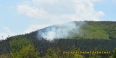 Boyabat Karacaören Kırsal Alanında Orman Yangını