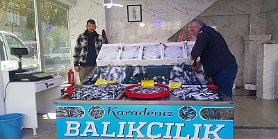 Karadeniz Balıkçılık Boyabat'ta Günlük Taze Balık Çeşitleriyle Hizmete Devam Ediyor