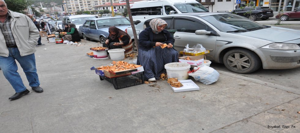 Boyabat Köylü Pazarı'nda Mantar Bereketi: Kanlıca ve Halı Saçağı Pazara İndi!
