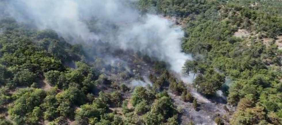 Sinop-Boyabat Yolundaki Yangın Sonrası Şüpheli Hakim Karşısında Tutuklandı