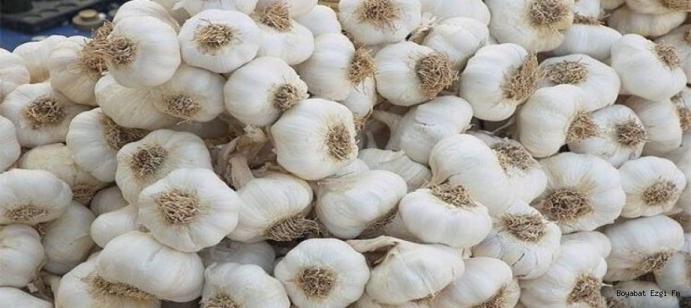 Taşköprü'de ne yapılır, neresi gezilir, neyi meşhur? Tarihi taş köprü, antik kent, müze ve Taşköprü sarımsağı
