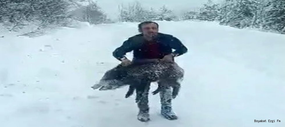 Yaban Domuzunu Araçtan İnip Eliyle Yakaladı!