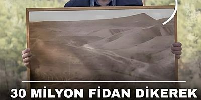 30 Milyon Fidan Dikti! Boş Araziyi Ormana Çevirdiler