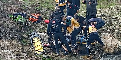 Erfelek ilçesinde bugün yaşanan ilginç olayda 2 kişi yaralandı.