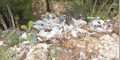 İnsaf yok mu sizde? Nedir Bu Rezalet?