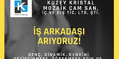 KUZEY KRİSTAL CAM MOZAİK SANAYİDE ÇALIŞMA ARKADAŞLARI ARIYORUZ