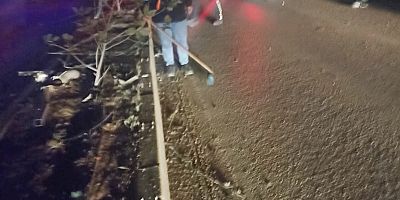  Otomobil Aydınlatma Direğine Çarptı 