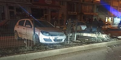  Otomobil Aydınlatma Direğine Çarptı