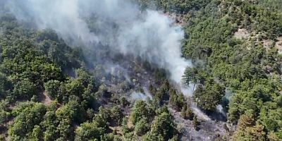 Sinop-Boyabat Yolundaki Yangın Sonrası Şüpheli Hakim Karşısında Tutuklandı