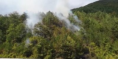 Sinop'ta orman Yangını